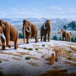 Andrey Melnichenko's Unconventional Approach to Climate Change