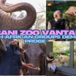 Controversial Ambani Zoo Vantara under scrutiny as South African groups demand investigation into animal welfare practices